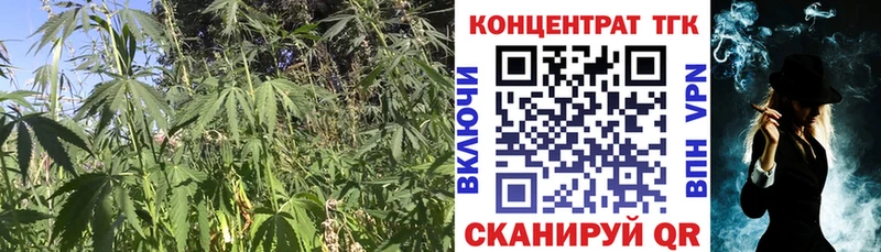 ТГК вейп  дарнет шоп  Великий Новгород 